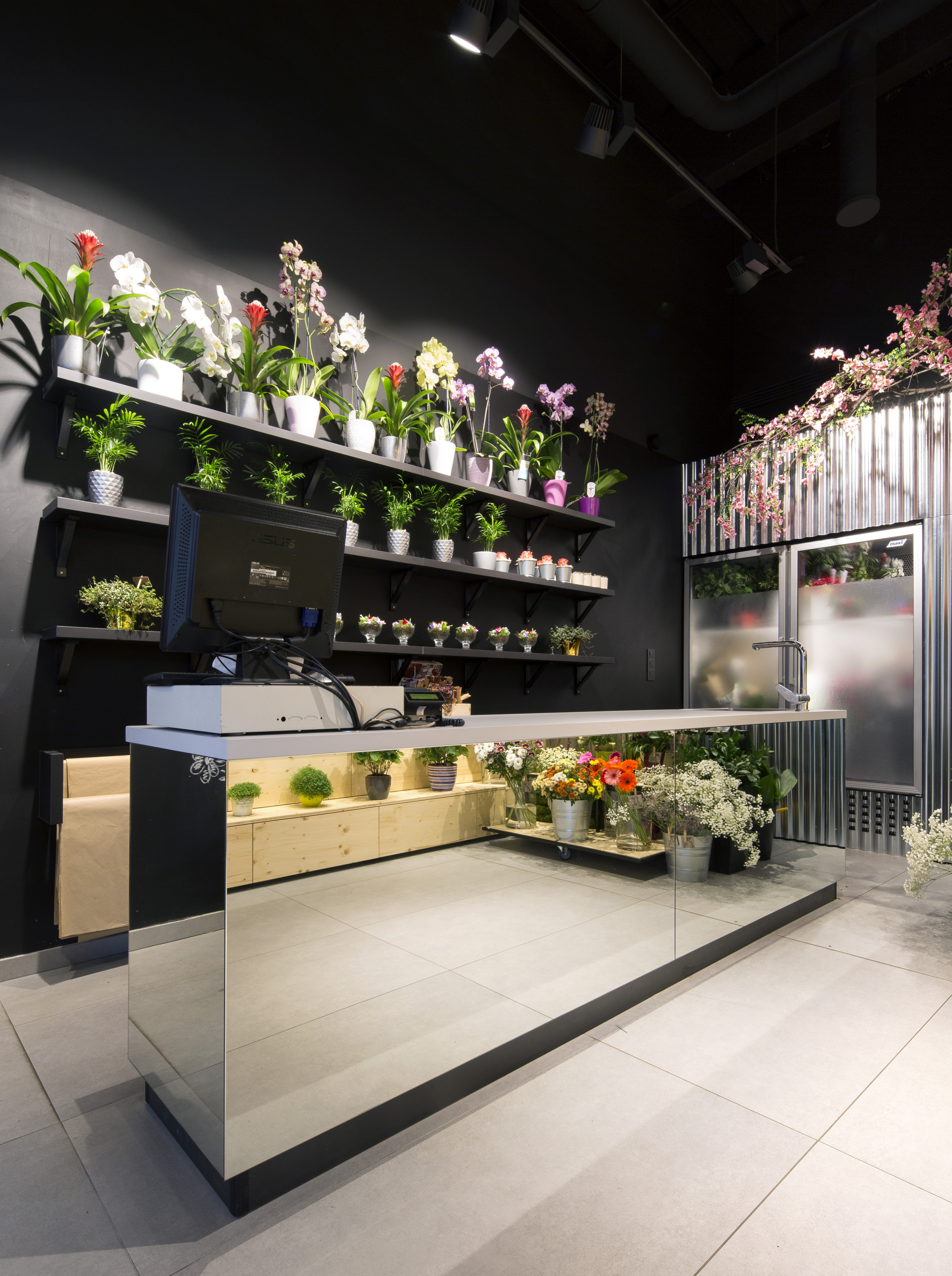 Amaryllis florist